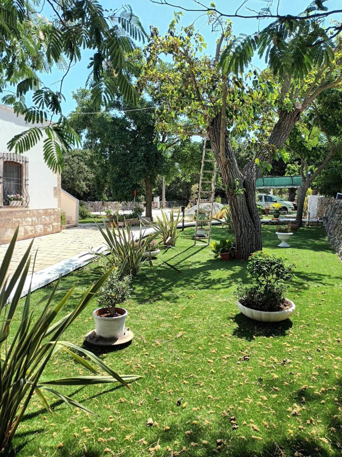 Trulli Allegretti Noci Extérieur photo